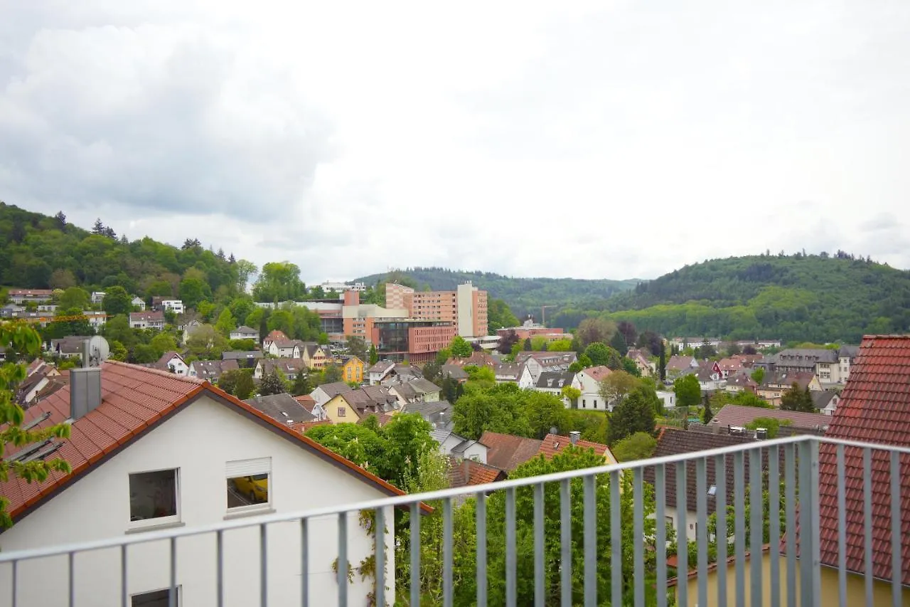 Exklusive Neubauwohnung Mit Wundervoller Aussicht Naehe Europapark Und Rulantica Burgheim イン